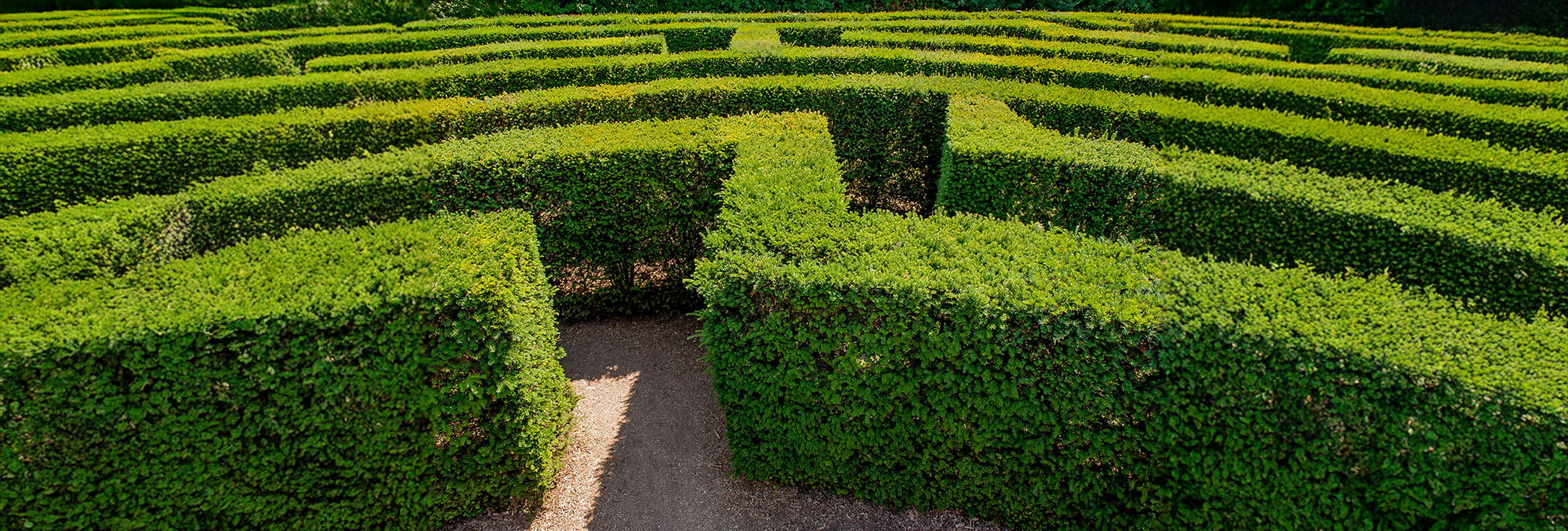 Common VAT mistakes and how to avoid them